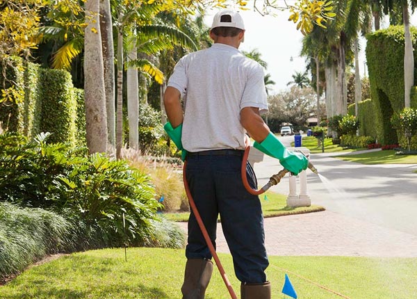 About Brainerd MN Pest Control